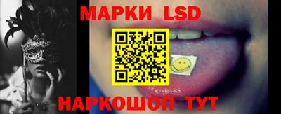 мяу мяу мука Будённовск
