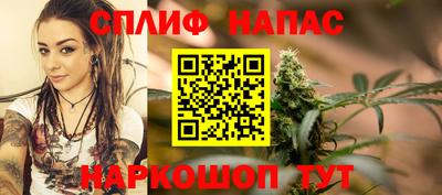 мяу мяу мука Будённовск