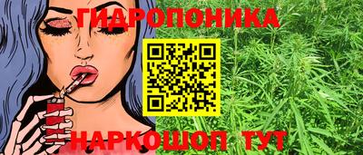 мяу мяу мука Будённовск
