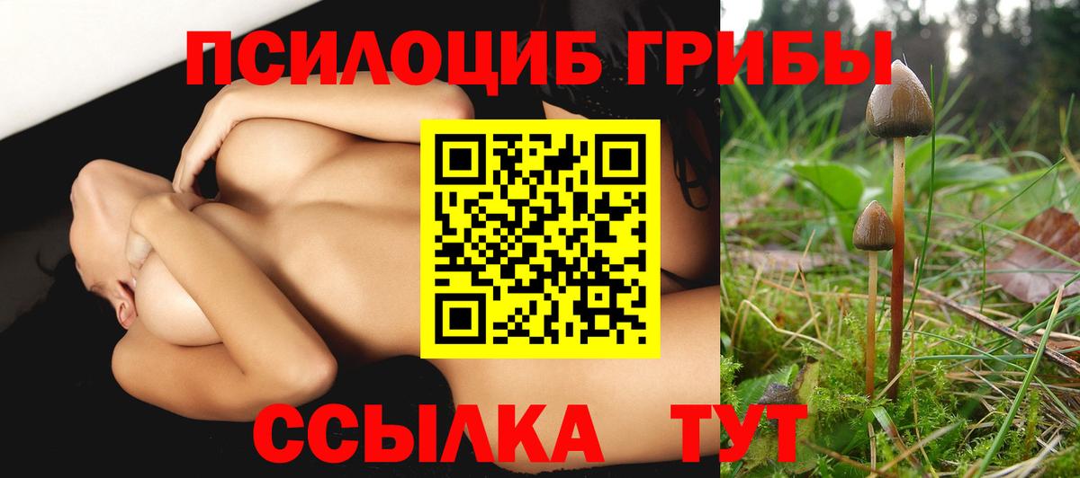 Киселёвск  Псилоцибиновые грибы Magic Shrooms  Вход с VPN 